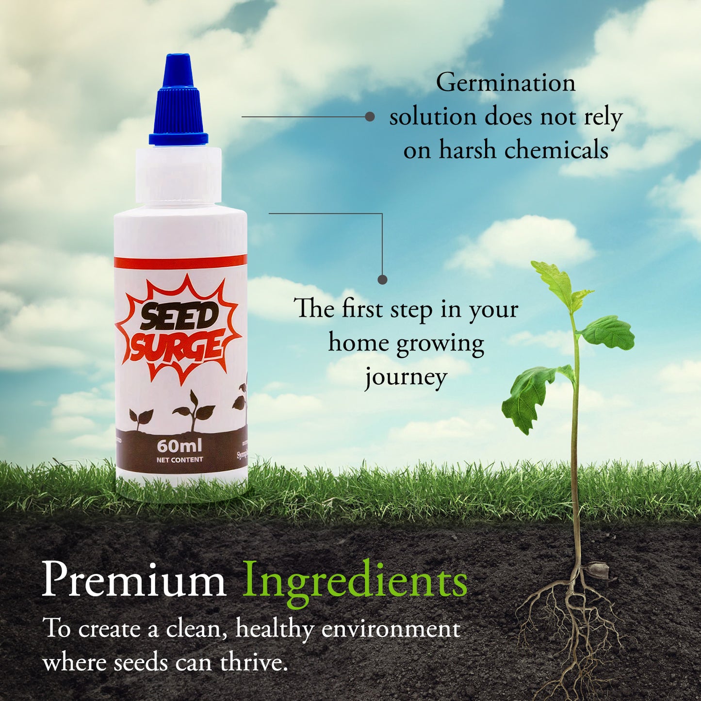 Seed Surge - Boost Seedling Growth and Germination