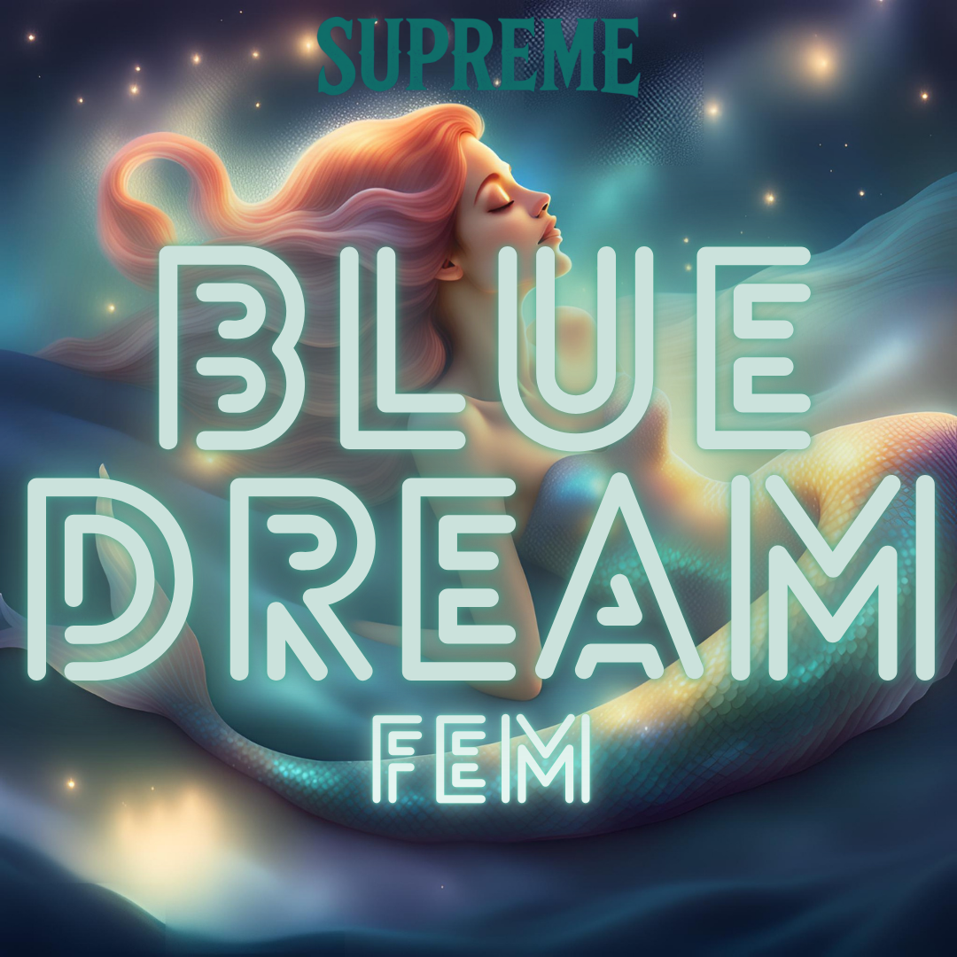 Blue Dream Fem