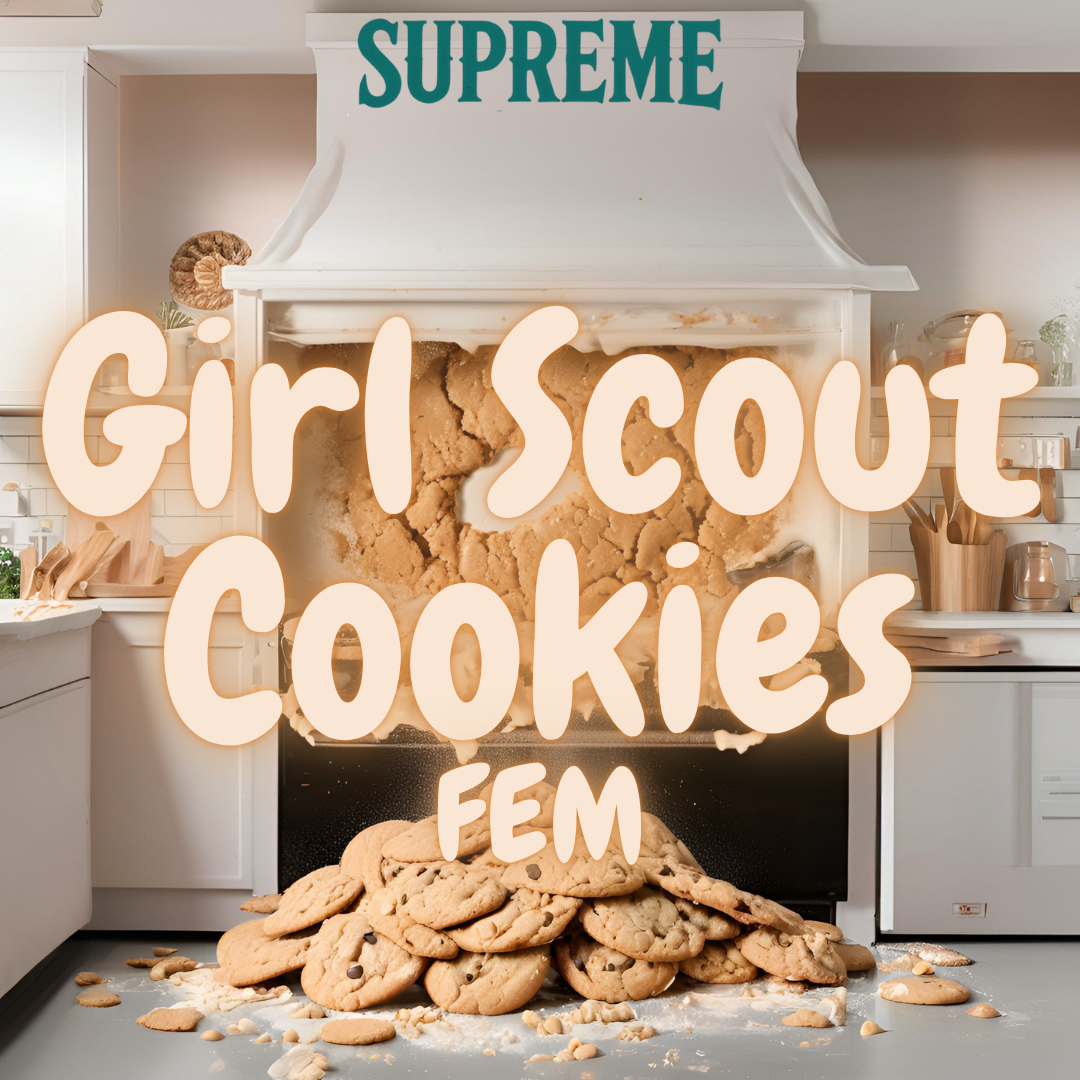 Girl Scout Cookies Fem