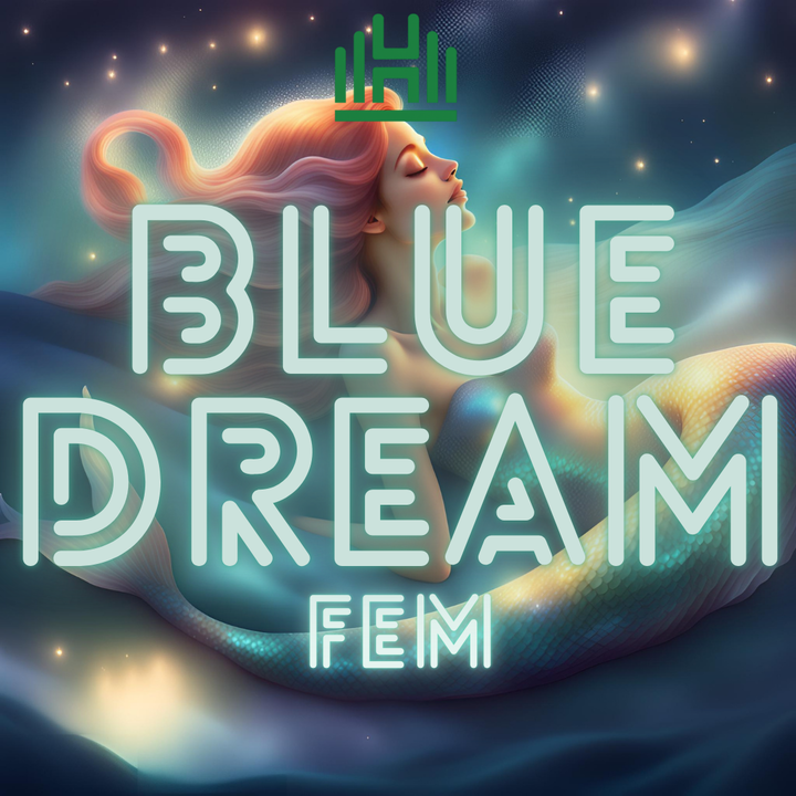 Blue Dream Fem
