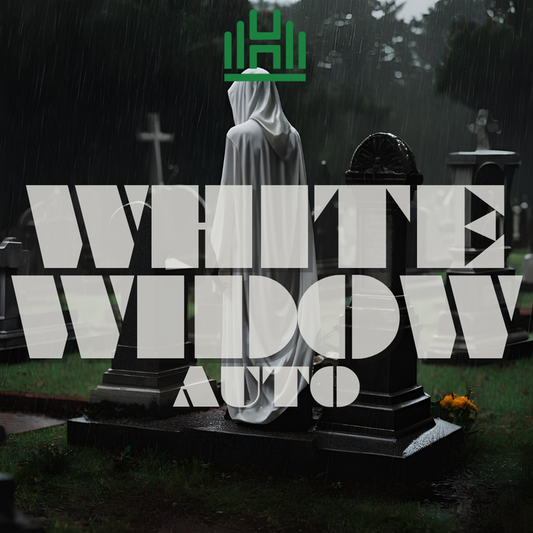 White Widow Auto 4-Pack Premium Hemp Seeds | Botanical Collectible